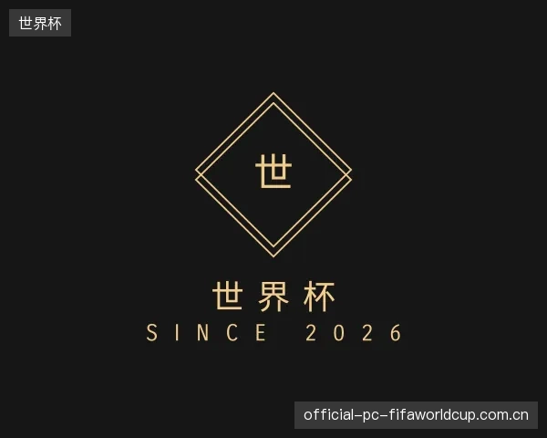解读世界杯平台